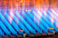 Gaerllwyd gas fired boilers